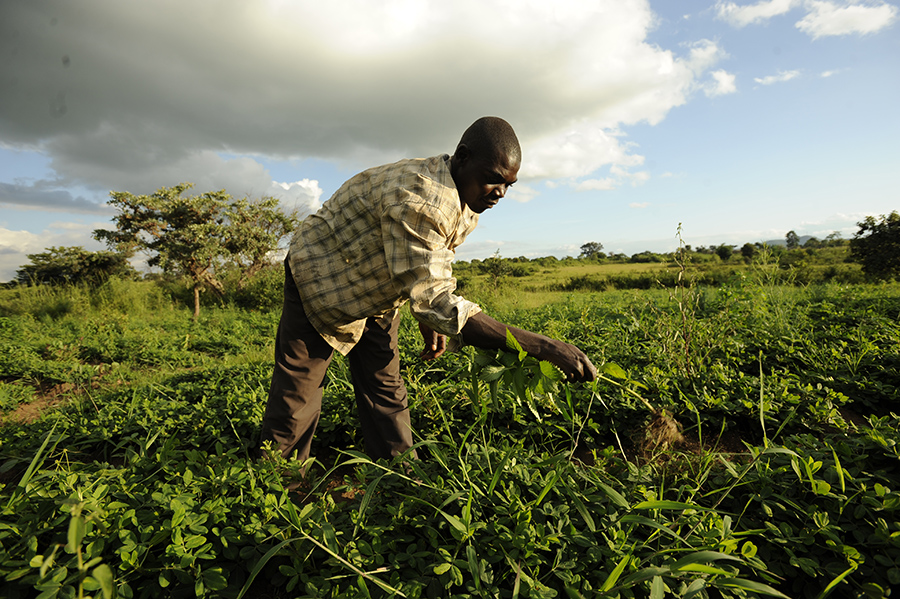 Photo 8 from Opportunity International